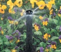 Dysza ogrodowa MPR 15 CST Rain Bird