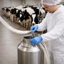 Wąż silikonowy 14x18 FDA